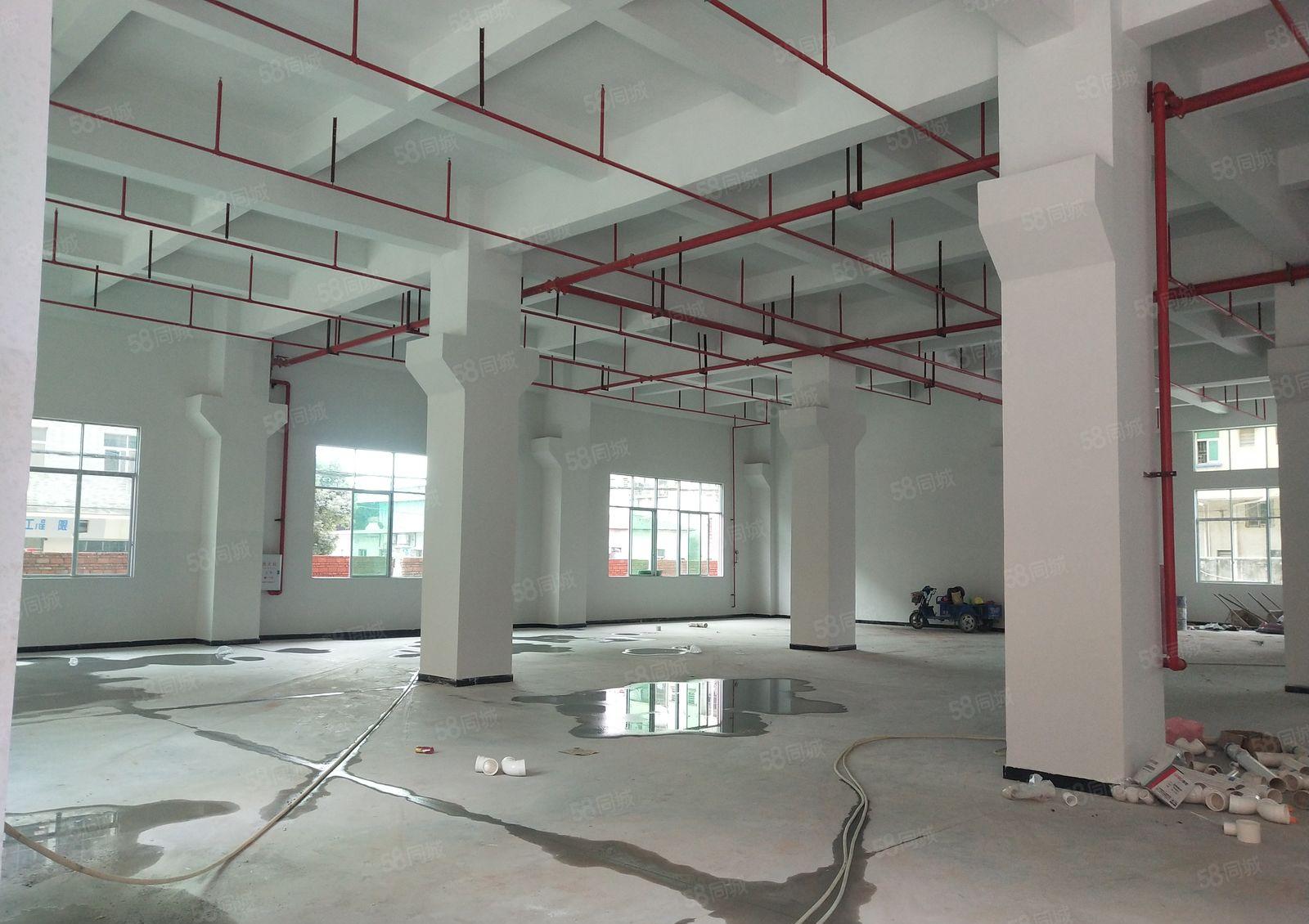 横沥镇新出全新厂房13000平一楼6.8米大小可分消防喷淋