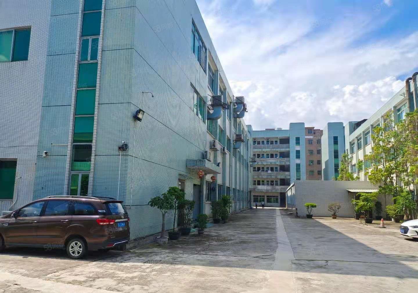 急租，横沥三江工业区新出标准一楼1600平方厂房出租，带牛角