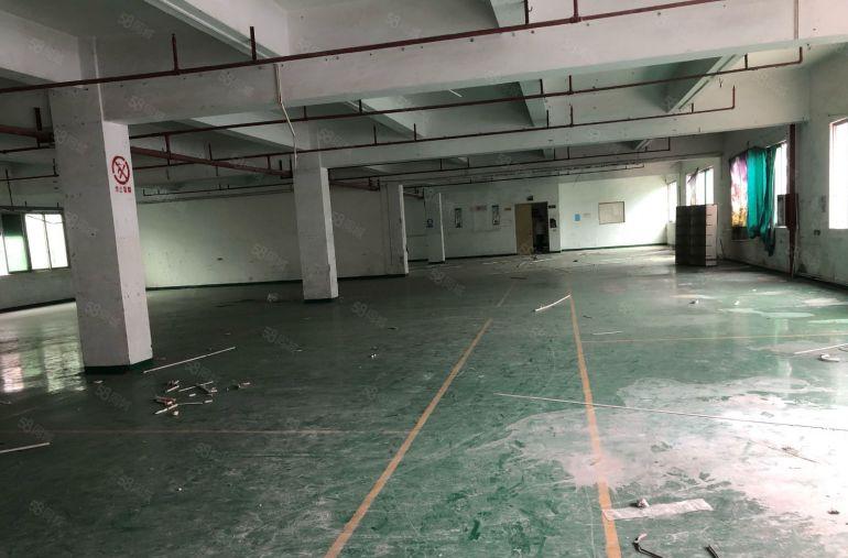 横沥原房东标准厂房独院低价出租