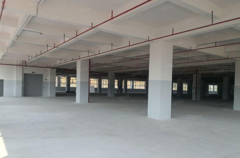 免租期一年全新原房东红本独院厂房7万平空地超大可办环评可分租