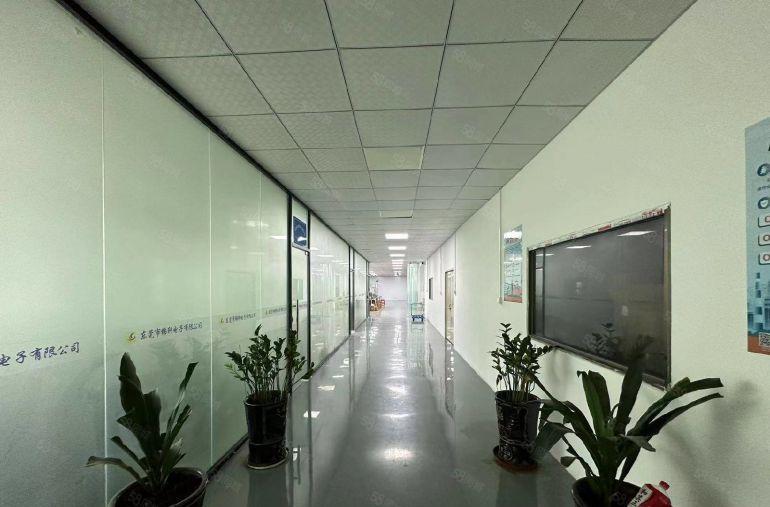 横沥模具城旁新出独门独院5000平方原房东精装修红本厂房出租