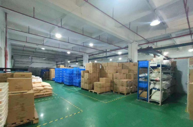 横沥镇6000平现成办公室装修水电齐全标准独院厂房出租