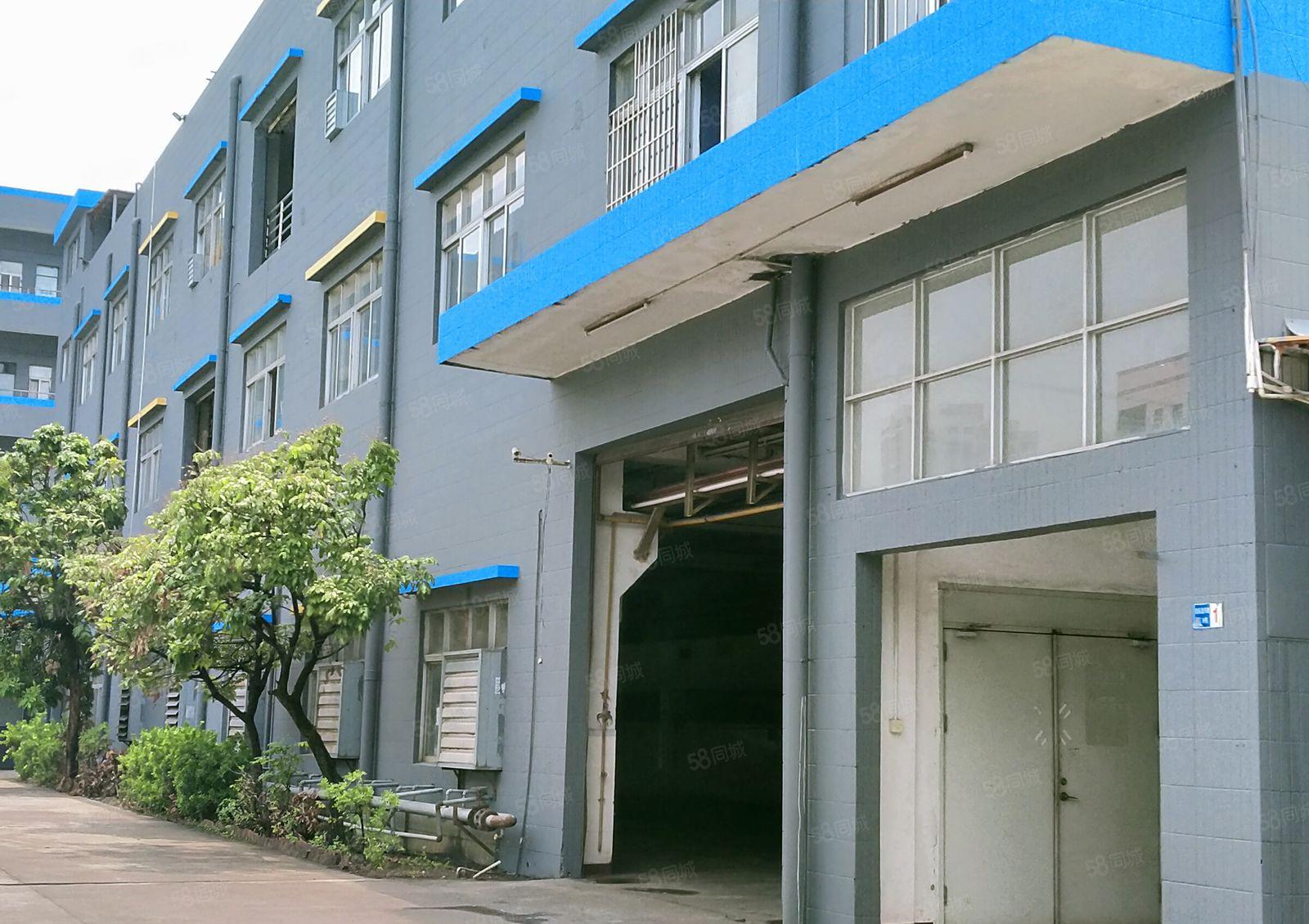 横沥镇模具城附近出租独院标准厂房，交通方便空地大，形象超好