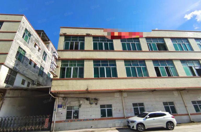 横沥独栋厂房低价出租