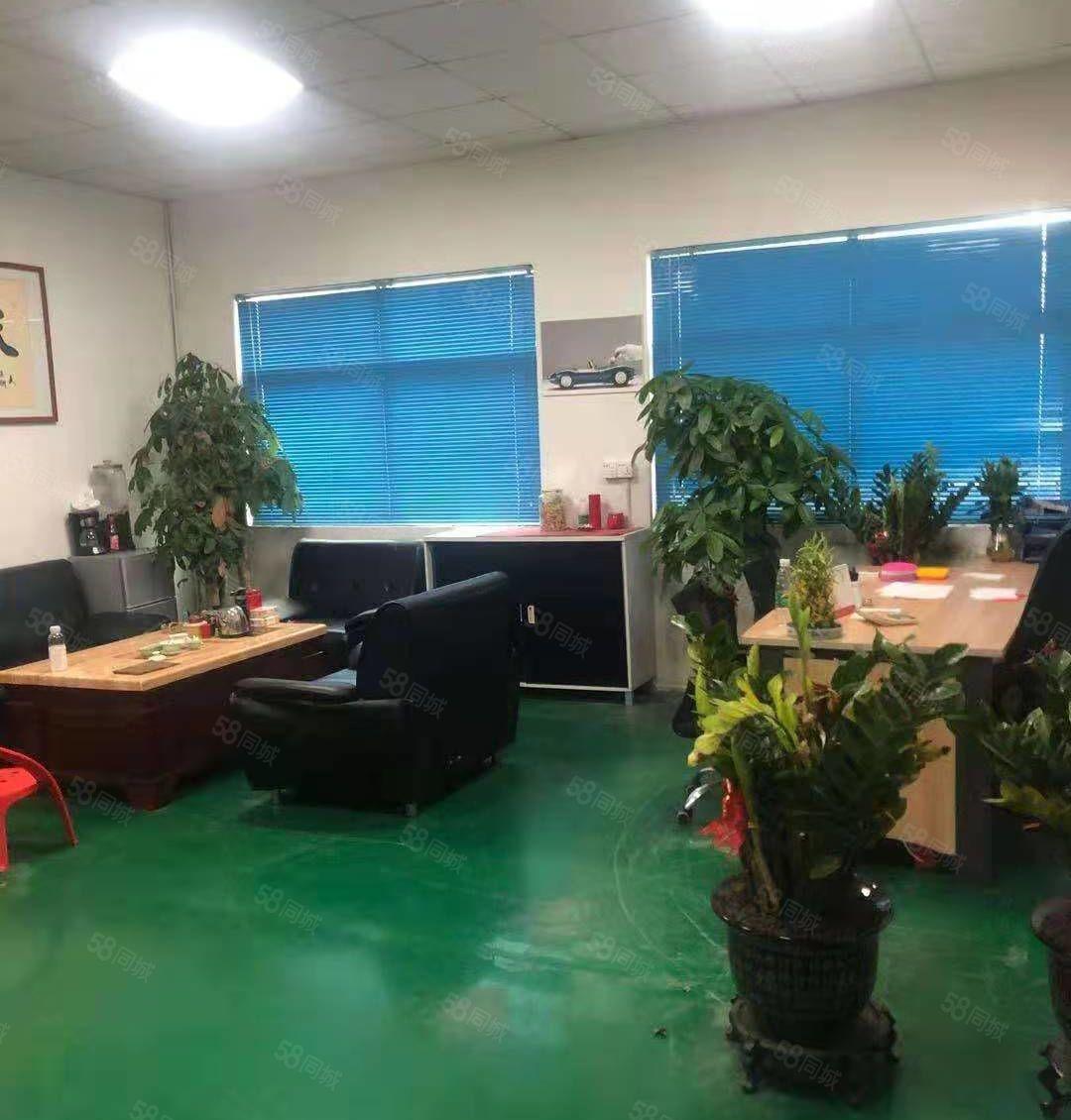 急租，横沥三江工业区新出标准一楼1600平方厂房出租，带牛角