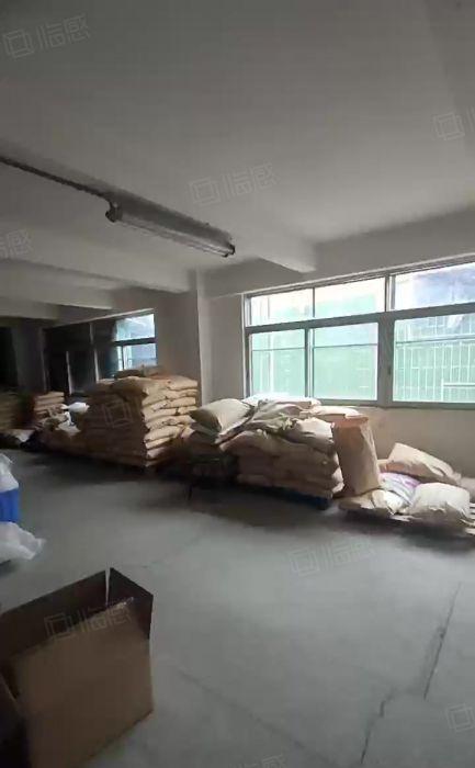 横沥镇原房东独门独院厂房出租1700平，租金18，现成水电