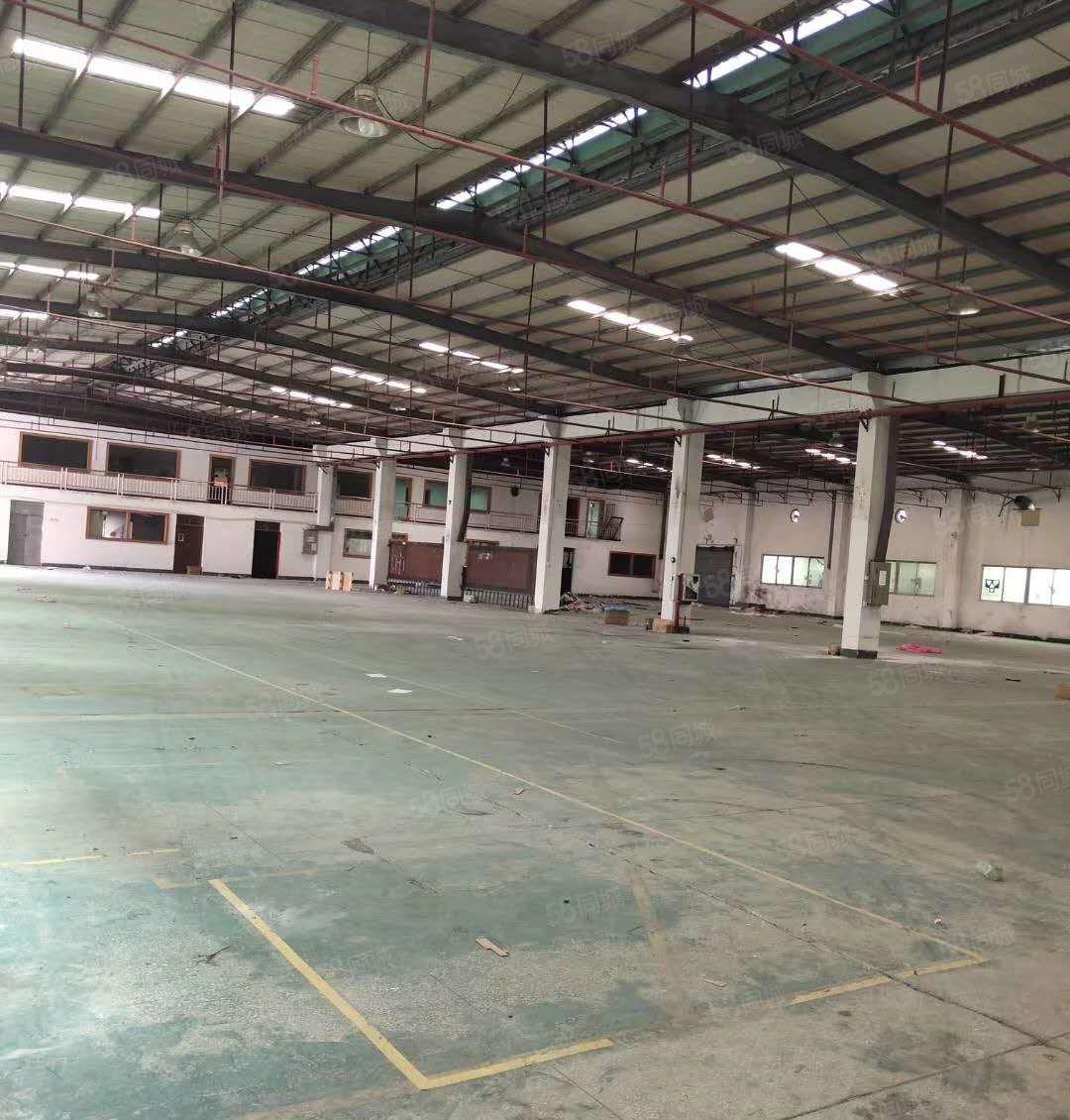 横沥镇新出原房东独门独院钢构实际面积出租