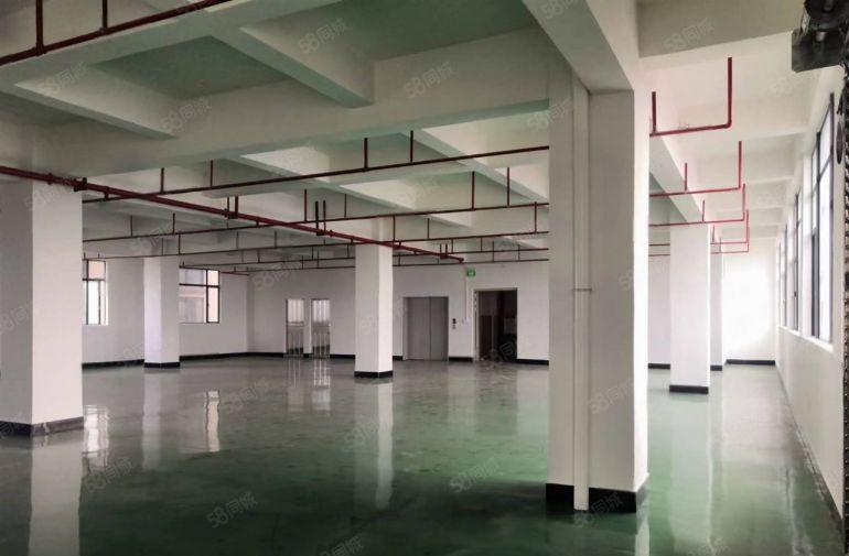 横沥镇原房东标准楼上带精装修办公室地坪漆水电齐全还配宿舍饭堂