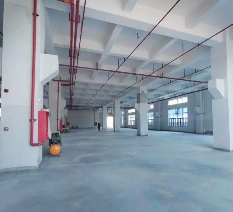 横沥镇原房东标准独院，空地大，形像好重工业厂房出租