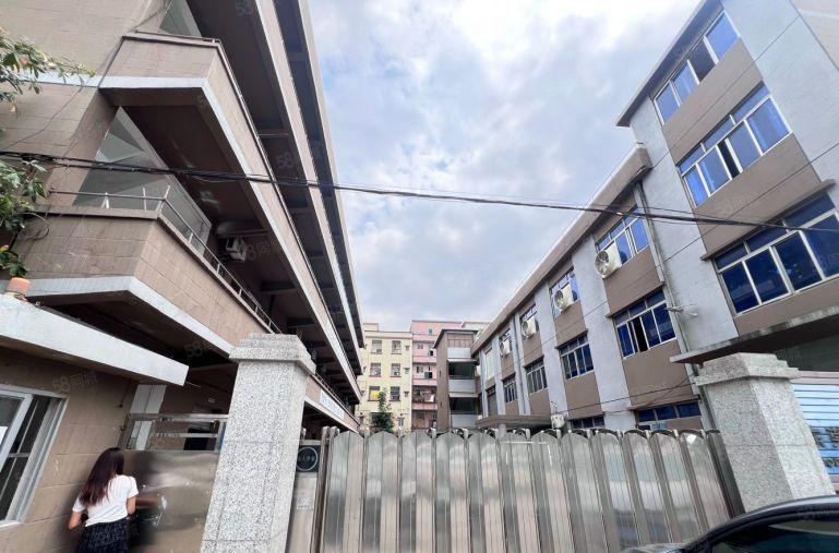 独院厂房出租 横沥工业区 仅14元 可以谈 随时可看房