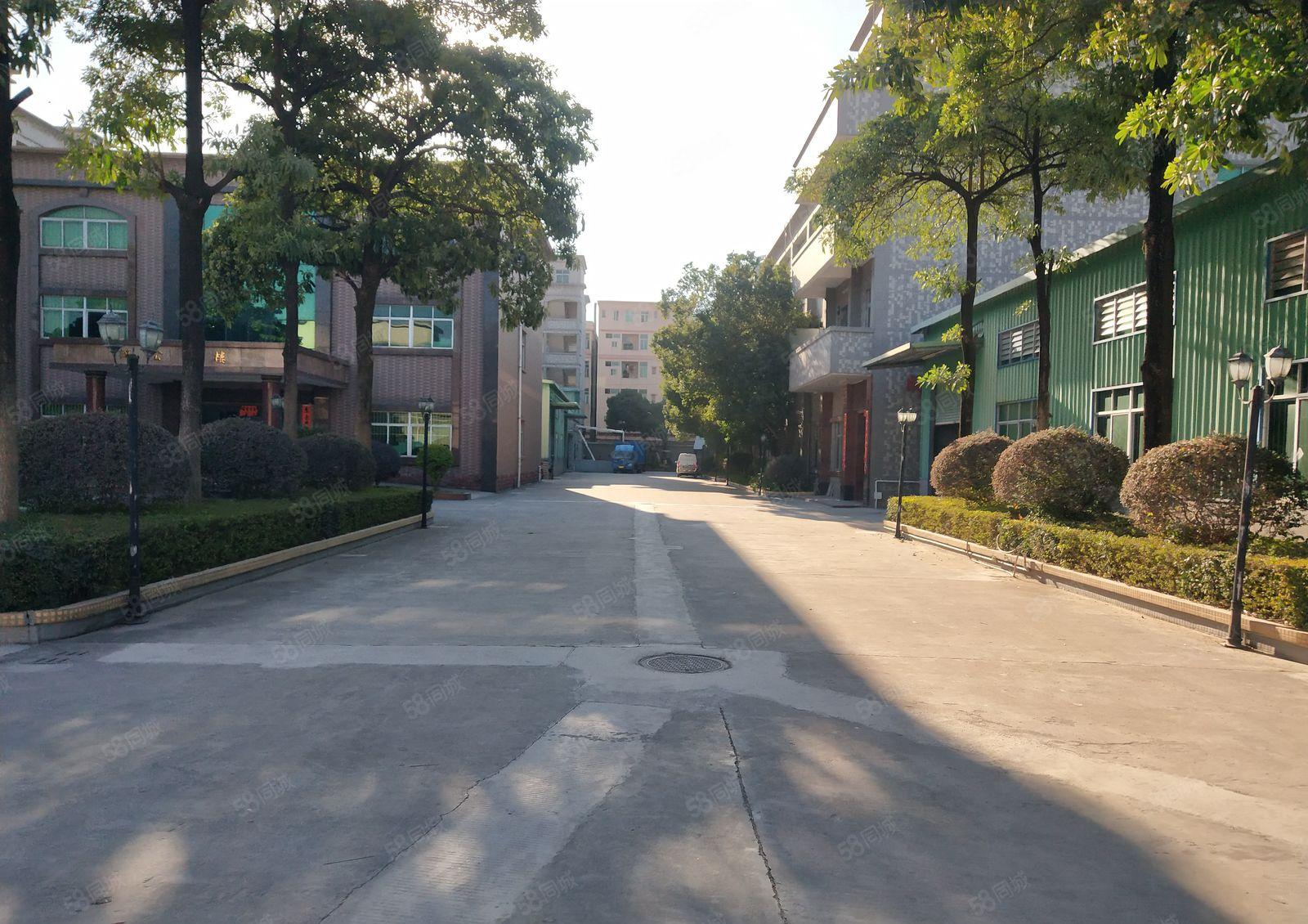 独院厂房出租钢构600平1000平 形象好