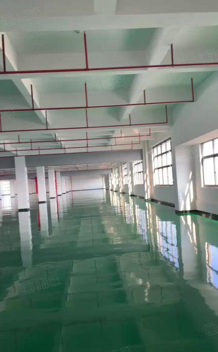 横沥镇原房东标准独院，空地大，形像好重工业厂房出租