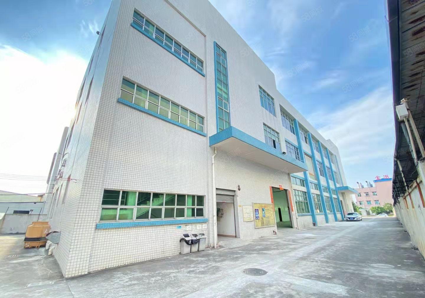 横沥镇国有红本独院厂房6200平米花园式厂房，工业用地可环评