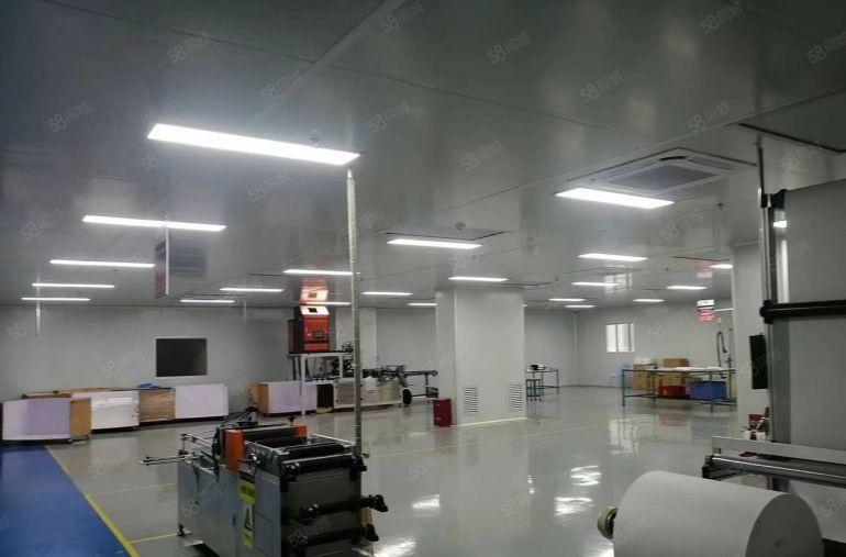 10元实量，零公摊，横沥原房东新建厂房出租，可分租有无尘车间