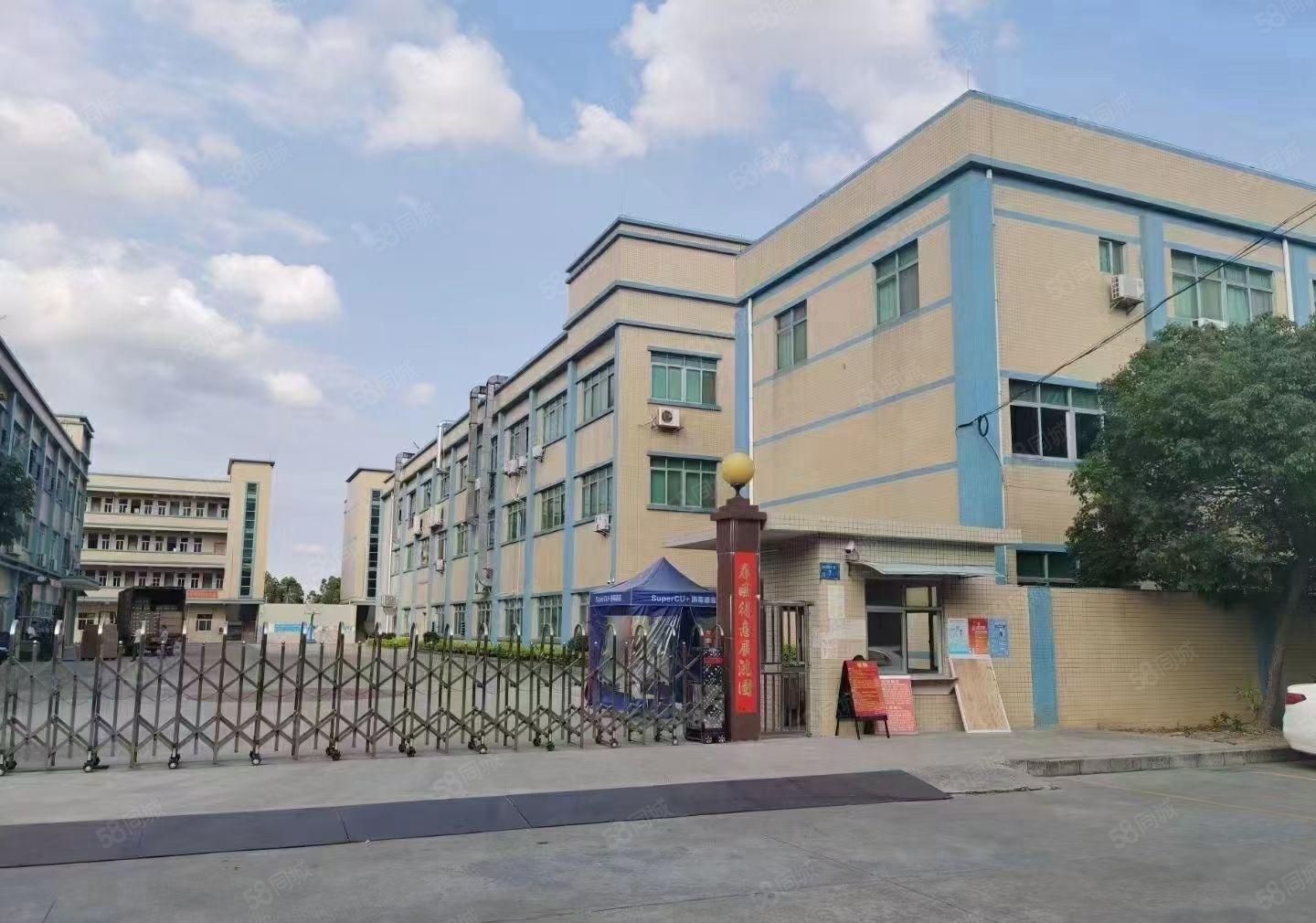 横沥镇原房东独院厂房4000平方水电齐全一楼6米高可办环评。