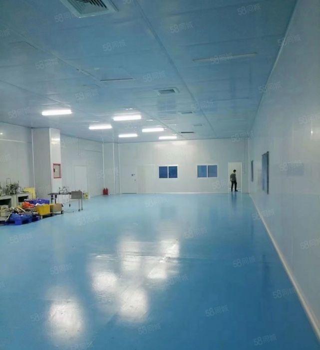 8元价格可谈原房东横沥桥头1000平方精装修厂房出租可分租