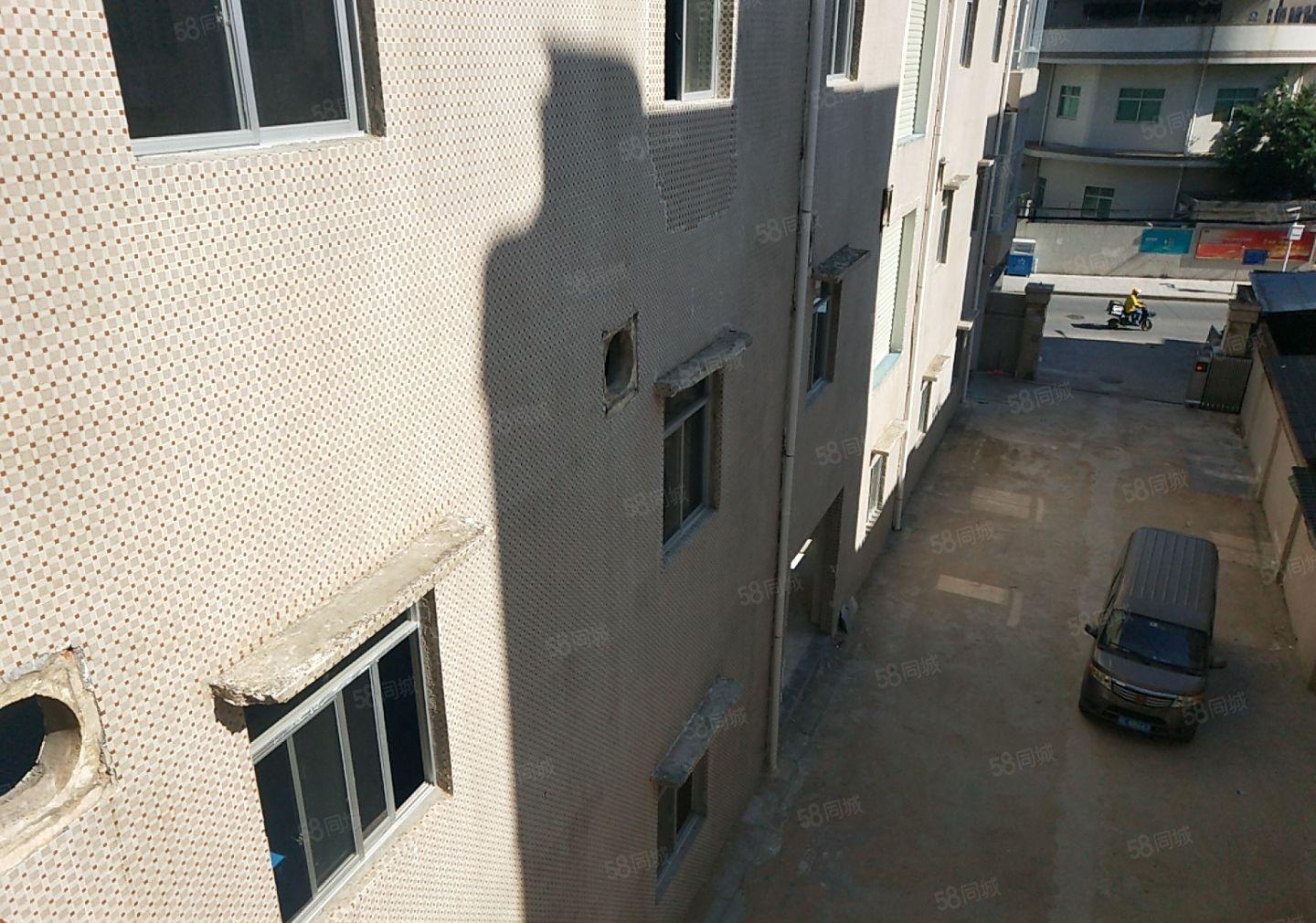 低价厂房经典小独院4800平 工业用地成熟工业区配套齐全