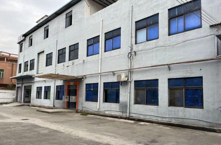 横沥个人工业厂房一楼出租 1200 平方可以分租 600 平