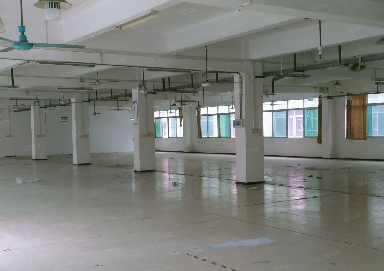 横沥镇模具城附近出租独院标准厂房，交通方便空地大，形象超好