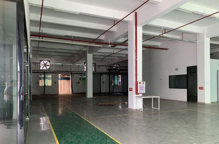 横沥镇原房东标准一楼5,5米高1000平厂房出租，有现成环评