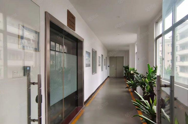 横沥镇靠茶山原房东独院厂房9000平低价直招