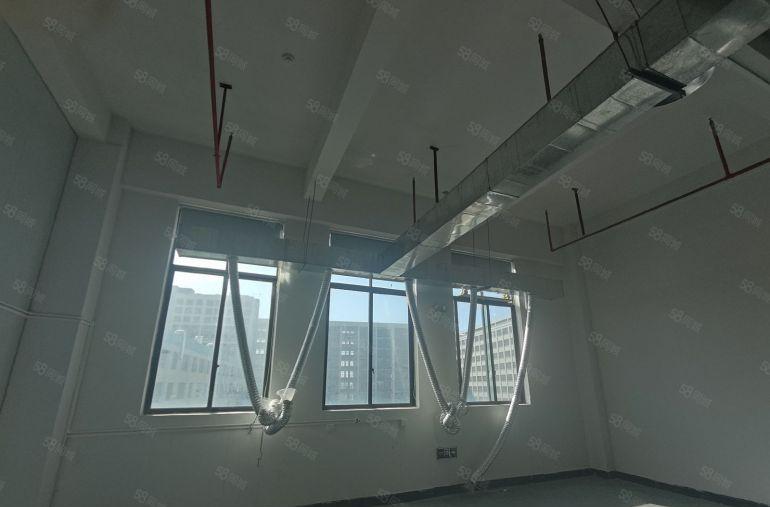 横沥镇原房东标准厂房出租精装修现成玩具喷油环评设备免费用