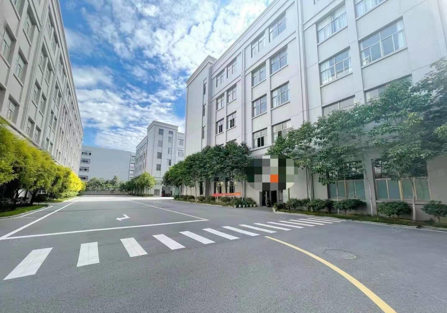 横沥镇新出可分租500一2000平方小型工业园厂房仓库