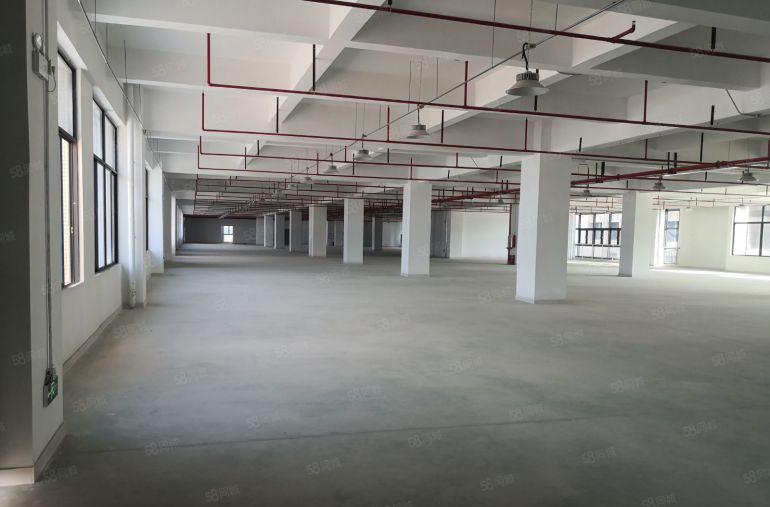 免租期一年全新原房东红本独院厂房7万平空地超大可办环评可分租