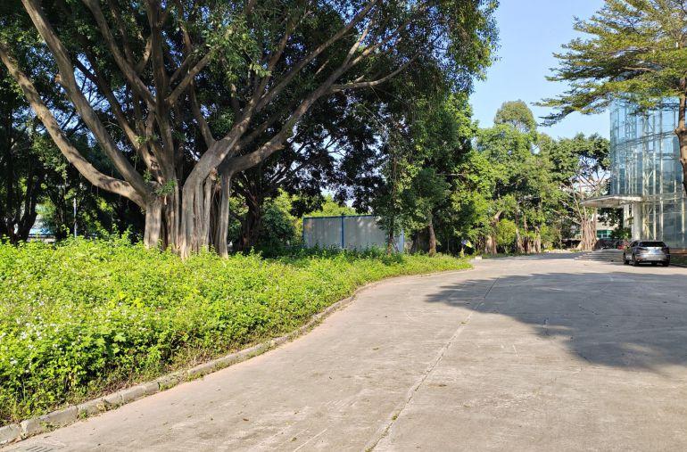 横沥镇西城工业区单一层钢构3250平滴水8米中间无柱子可分租