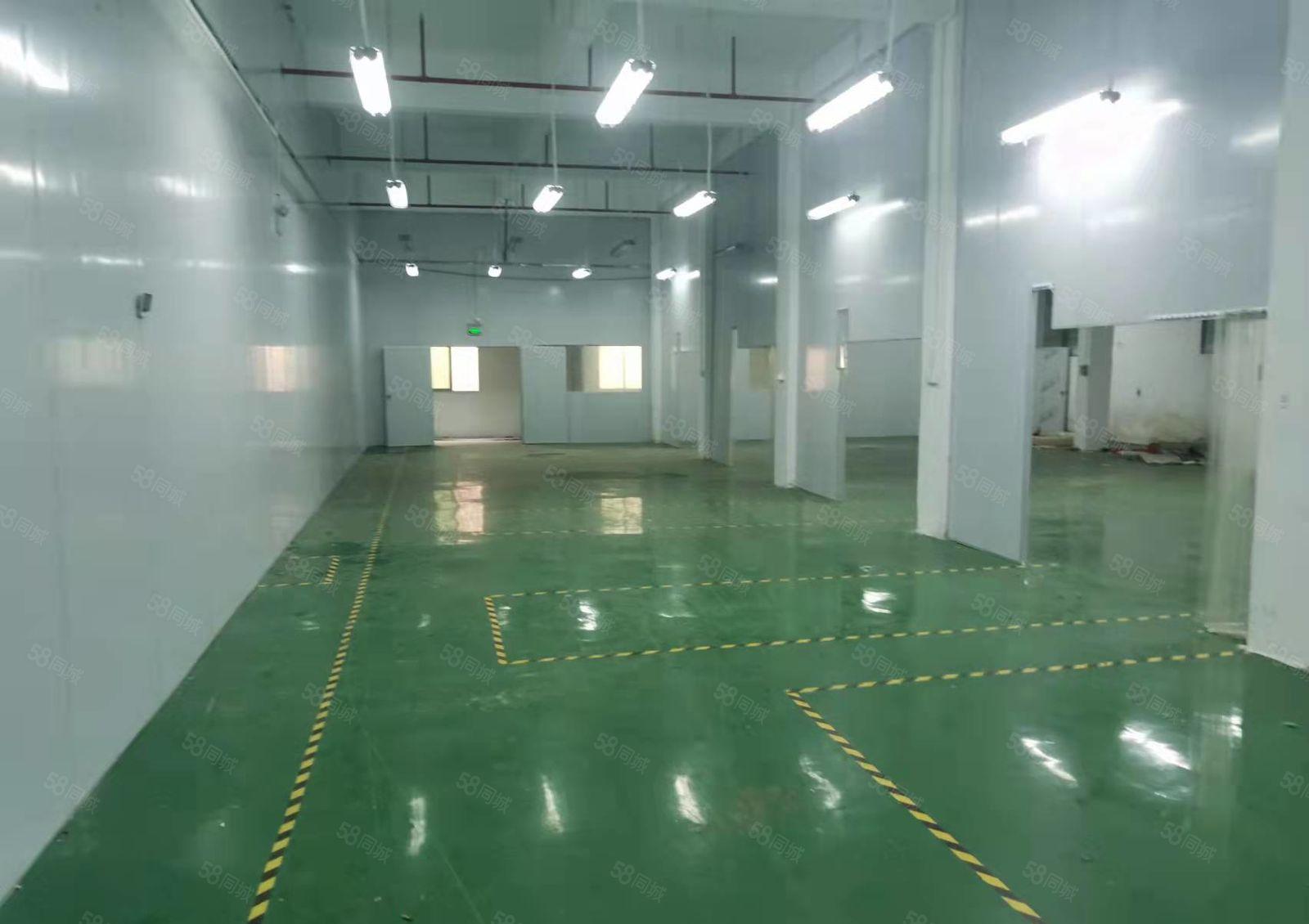 横沥镇新出一楼1500平带地坪漆 交通方便好招工低价厂房出租