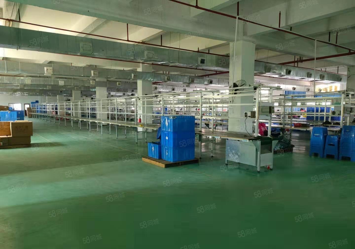 横沥镇三江工业区内原房东分租精装修标准厂房2000平方水电齐