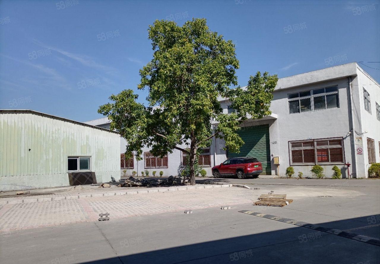 横沥镇原房东单一层2800平滴水9米拖头可倒入车间现成办公室