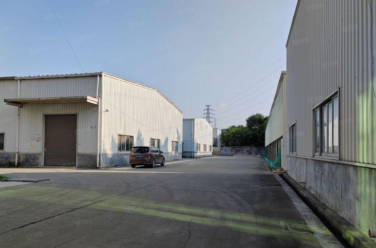 横沥镇西城工业区单一层钢构3250平滴水8米中间无柱子可分租