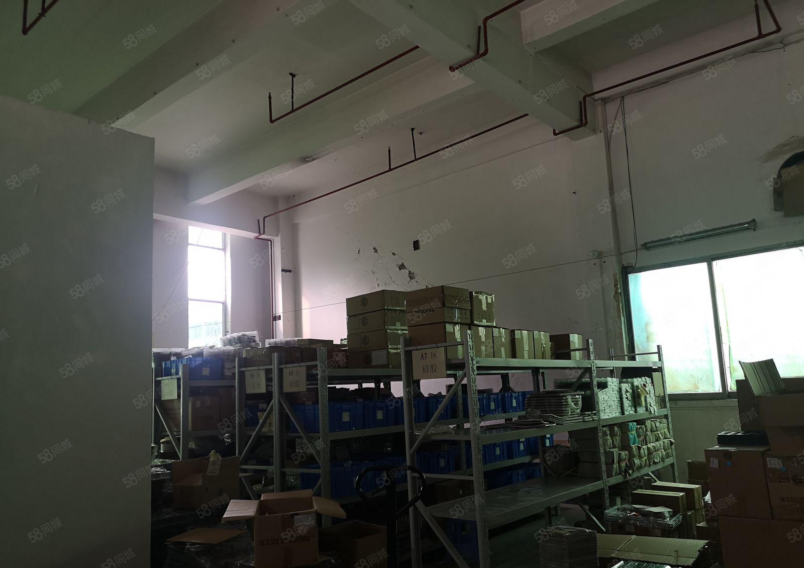 横沥新出原房东一楼带牛角1400平方水电齐全主线到位