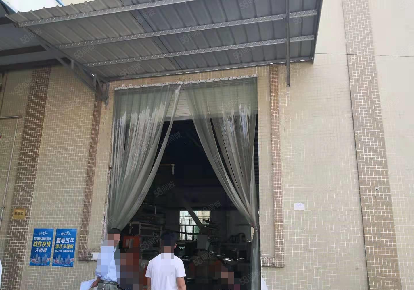 石排全新钢构厂房出租800方！位置佳，形象好，现成办公室！