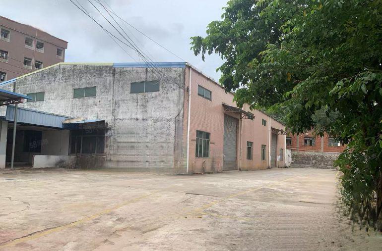 横沥镇新出原房东独院钢构1400平低价出租，宿舍办公室600