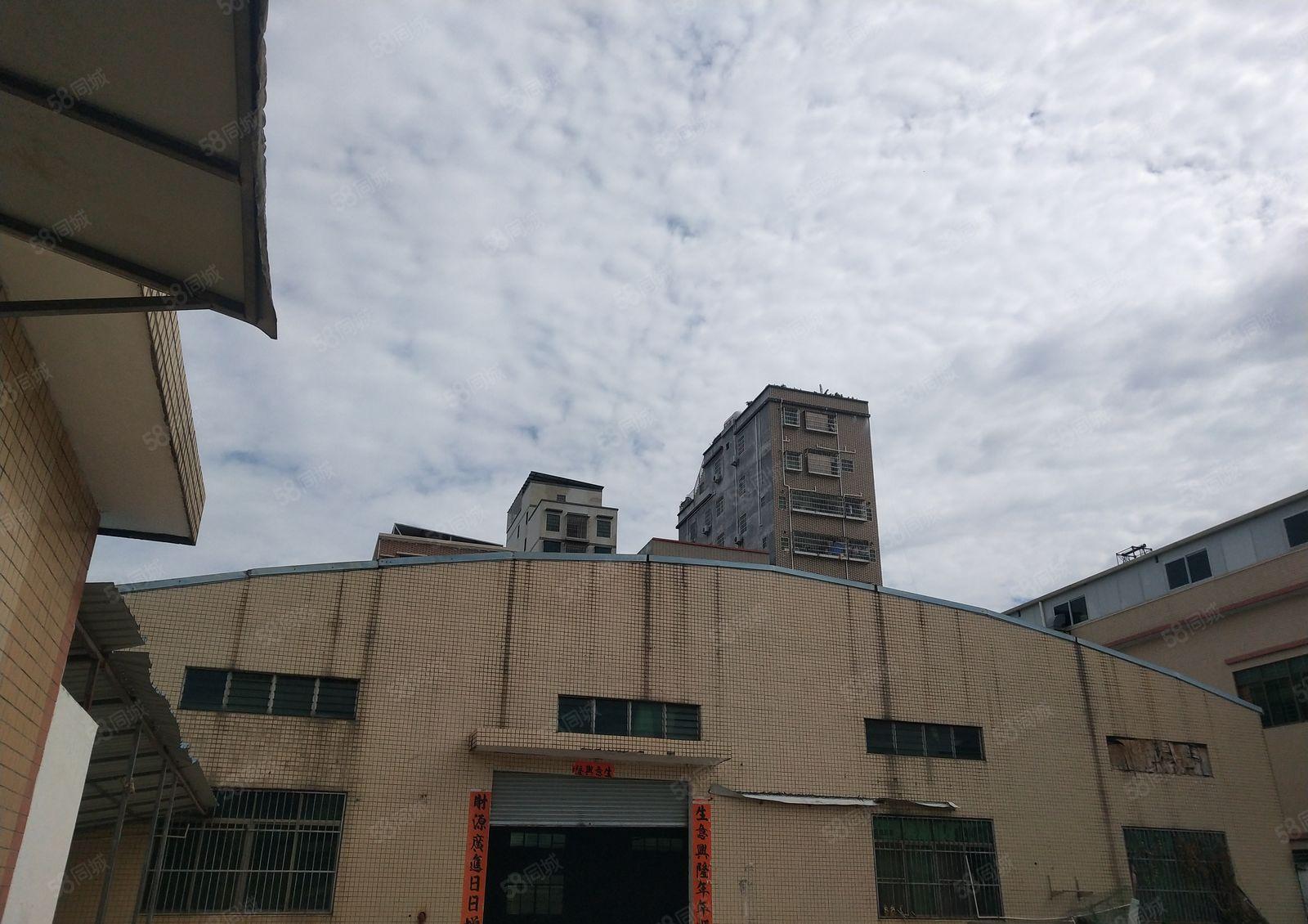 横沥镇独院钢构2680平自带卸货平台 低价厂房出租