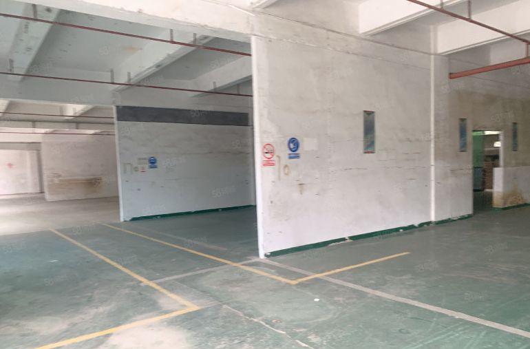 横沥镇原房东独门独院厂房仓库出租