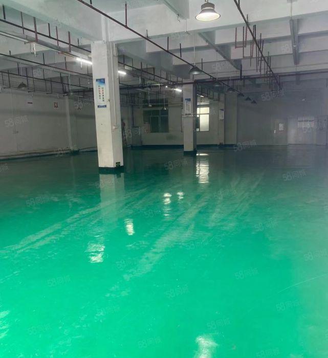 急租横沥镇原房东独院适合五金机械设备冲压注塑等行业