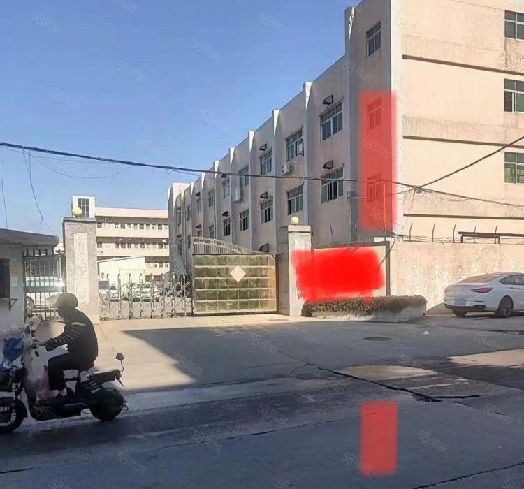 横沥原房东标准厂房独院低价出租