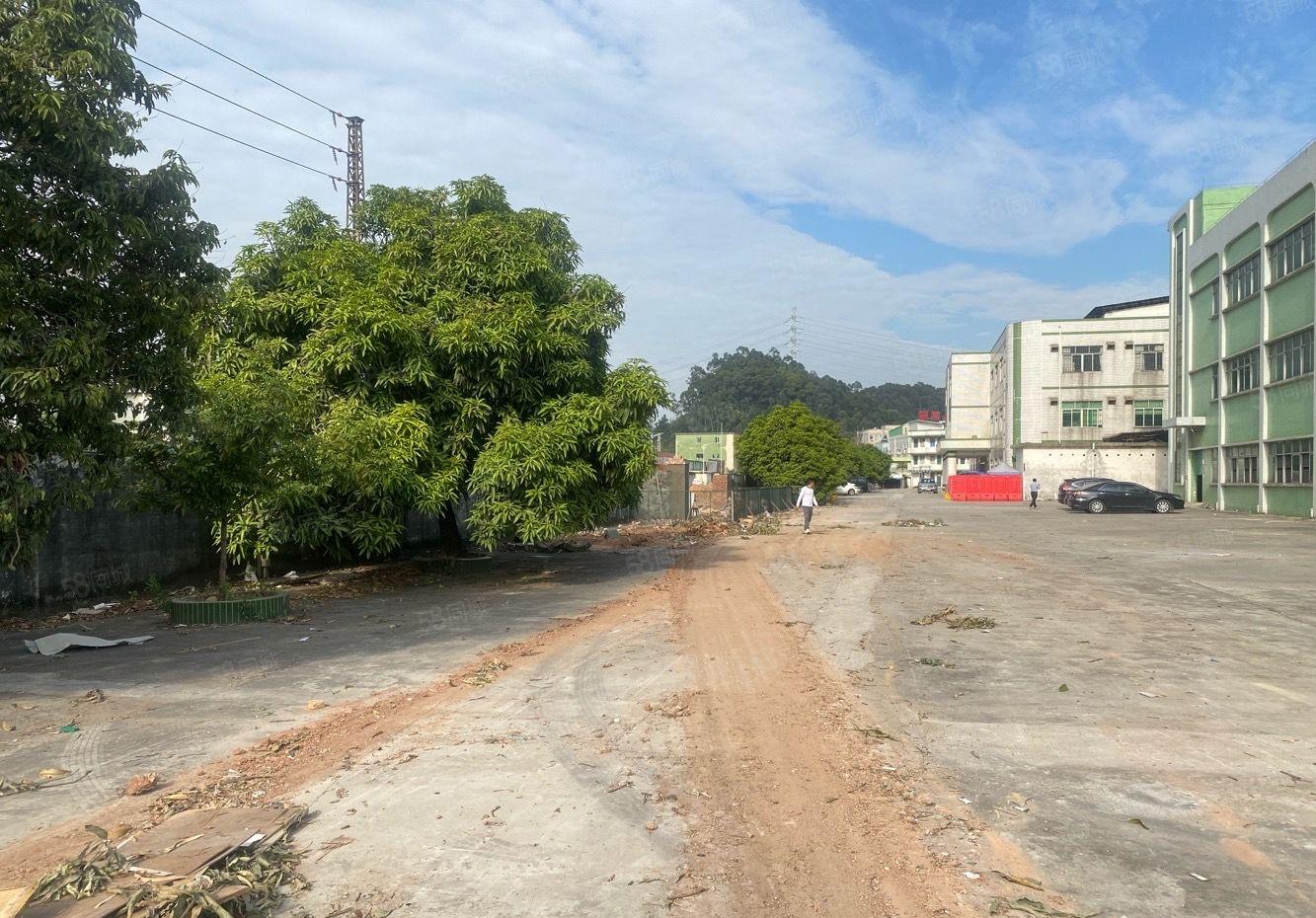 横沥新出漂亮标准厂房出租，可分租空地大。适合小加工电子仓库