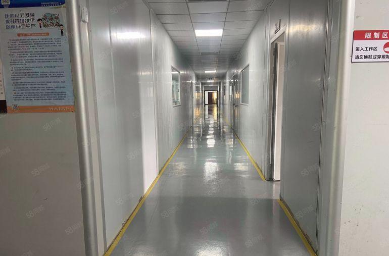 独院厂房出租  原房东  现成装修  适合电子模切新能源组装