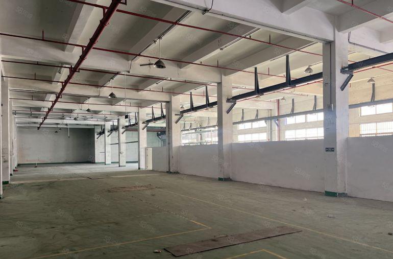 横沥本地房东新出标准独院带牛角位。适合五金注塑电子加工等行业