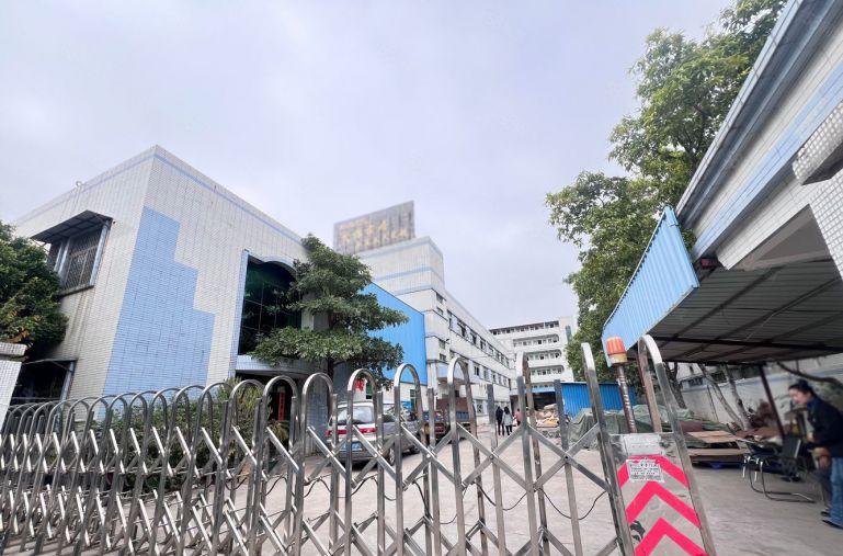 独院厂房招租6150平 带豪华办公室 低价一手房东 直接租