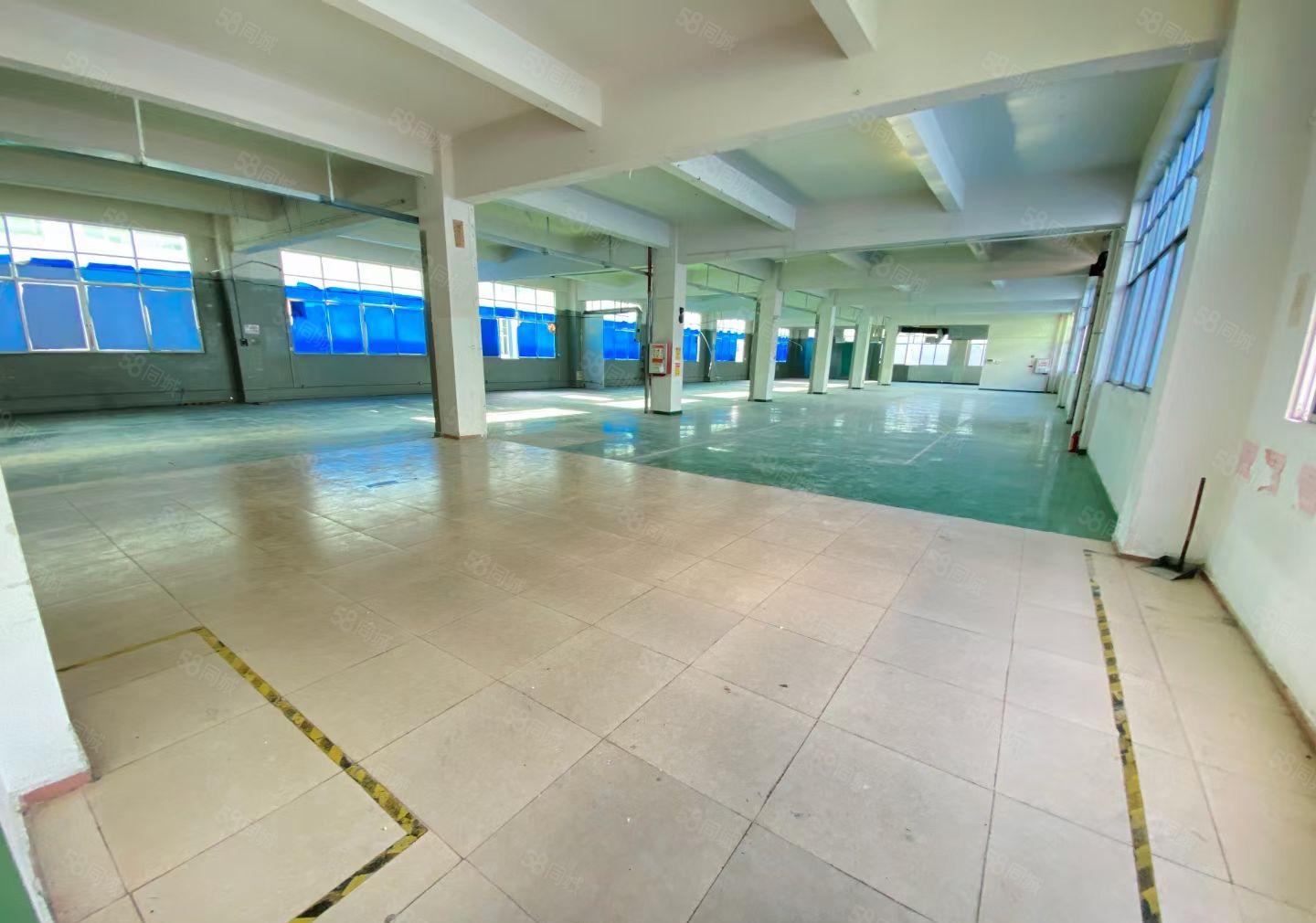 横沥镇新空出9成新花园式独门独院6200平方可办环评