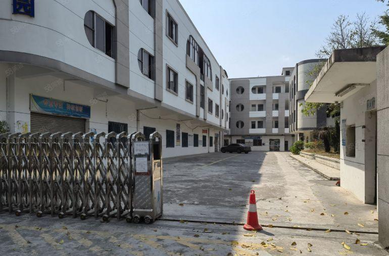 沙田镇杨公洲原房东精装办公 现成水电 独院厂房出租可分租