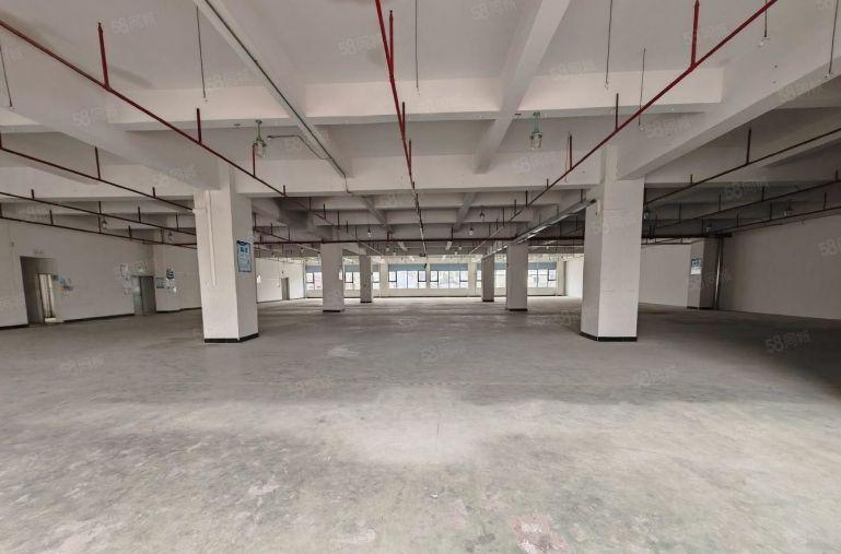 沙田镇西太隆楼上2000平方厂房出租3吨电梯停车位足交通方便