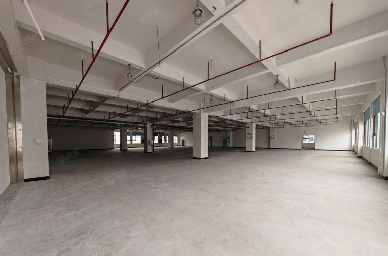 沙田镇西太隆楼上2000平方厂房出租3吨电梯停车位足交通方便