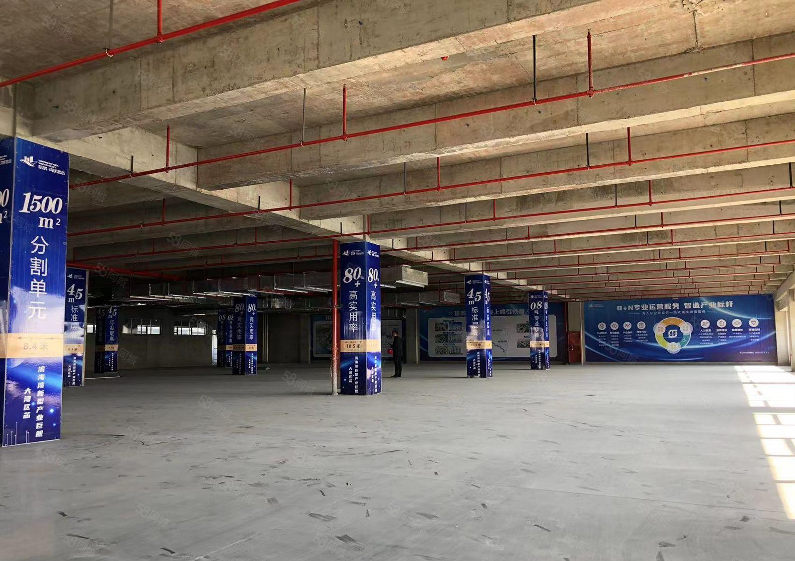 信鸿湾区智谷滨海湾全新厂房开发商直租均价20元月