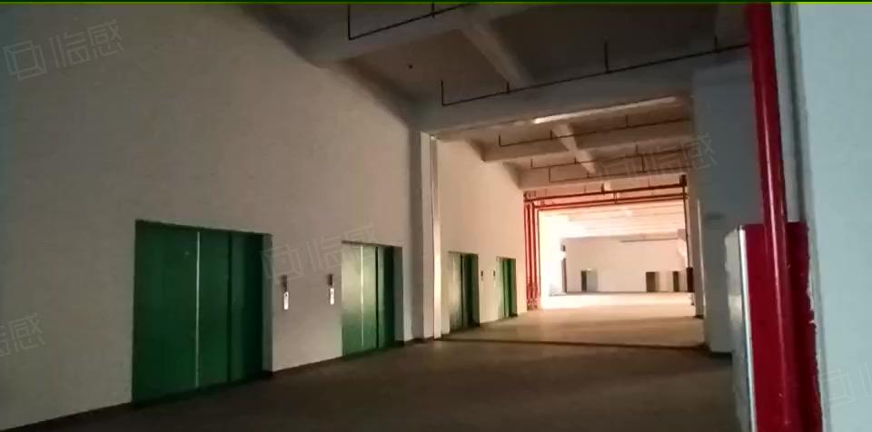 钜惠！沙田全新独门独院标准厂房出租，园区证件齐全空地大 可分